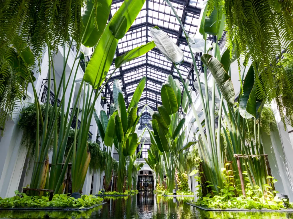 The Atrium at the Siam Hotel Bangkok