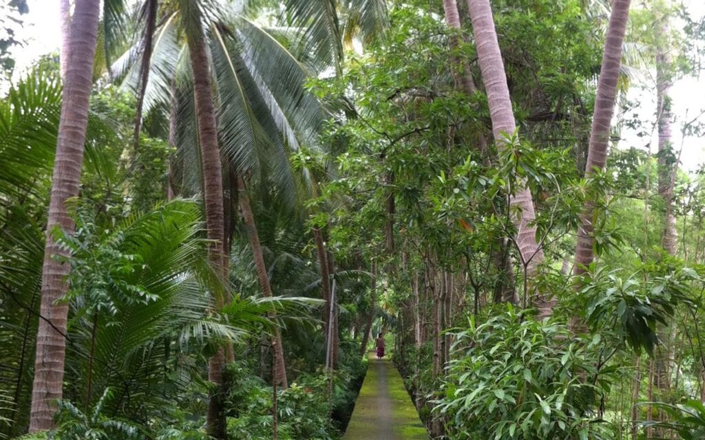 Bang Chao Bangkok's Green Lung
